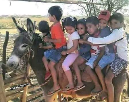 7kidsDonkey