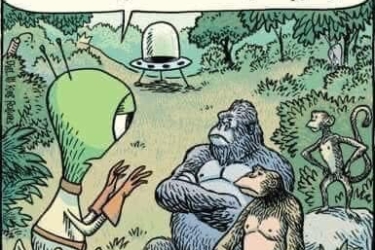 animalCousin
