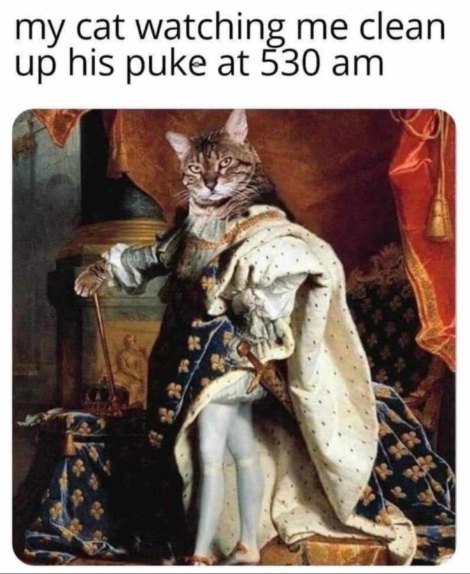 catMeClean