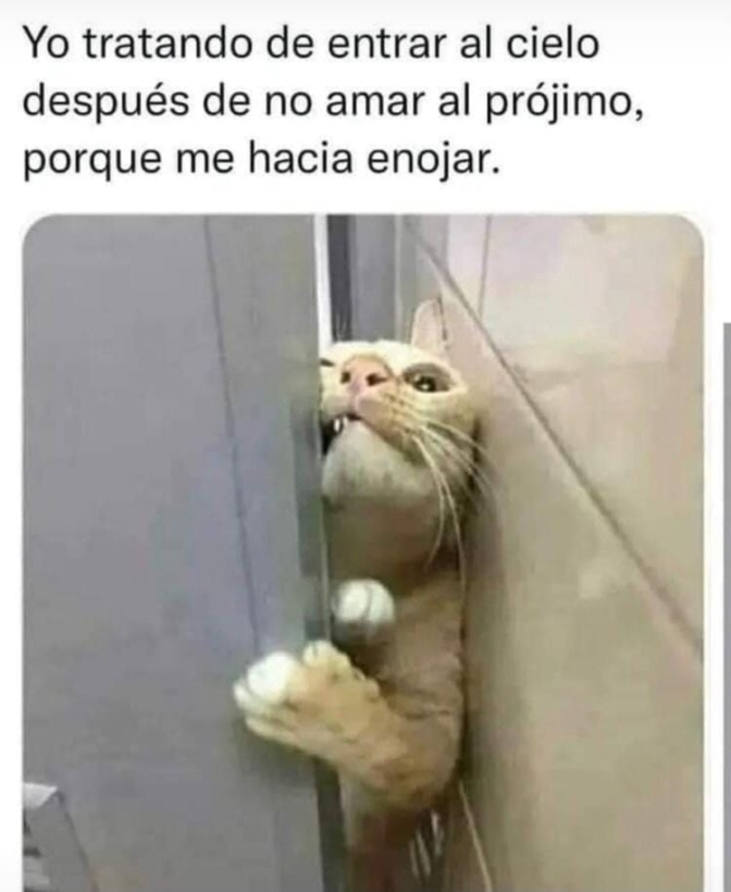 NOheaven4tomcat
